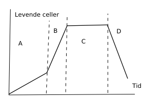 (Fig 1) Billede der viser celle vækst.