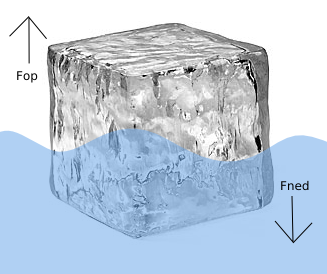 Billedet viser de krafter der påvirker en isblok der flyder i vandet.